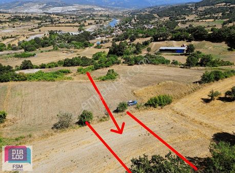 Dialog Fsm Den Tek Tapu Köye Yakın 493 M2 Fırsat Hobi Bahçesi