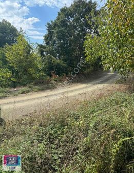 Çanakkale Biga Kaynarca Köyünde Yola Cephe 644 M2 Bahçe