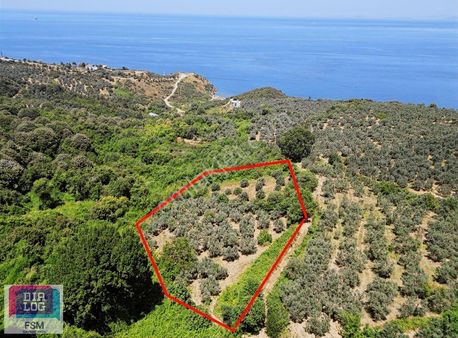 Deniz Manzaralı Tek Tapu Yakınında Yerleşim Olan Fırsat Arazi