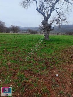 Dıalog Fsm'den Orhaneli Esentepe'de Satılık Müstakil Tarla