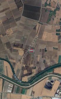 Karacabey Harmanlı'da Satılık 3.100 M2 Tarla