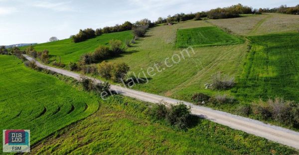 Bursa İnegöl Yeniyörük Köyünde İlçeye Yakın 985 M2 Hobi Bahçesi