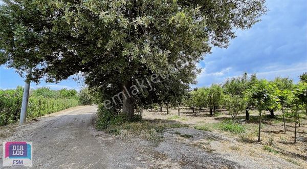 Osmangazi Çukurca Mahallesinde Satılık 15 Dönüm Tarla