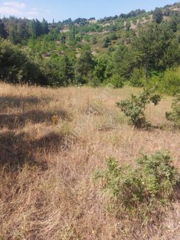 İnan Emlak Gayrimenkulden Baktırlı Mahallesi Satılık