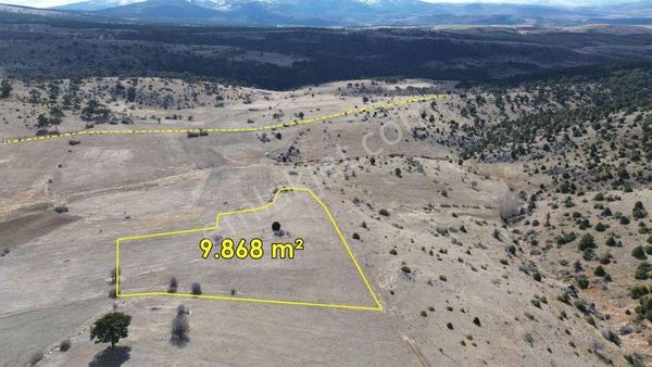 9.868 M² / Konya / Ilgın / Belekler / Tarla