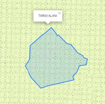 Kayseri İncesu Subaşı Mahallesin'de 122.000 M² Tek Tapu Tarım Alanı Besi Çifliği Olur
