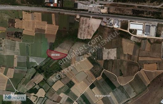 Kökkaya 'dan Kurtuluş Mahallesinde Krediye Uygun Satılık Tarla