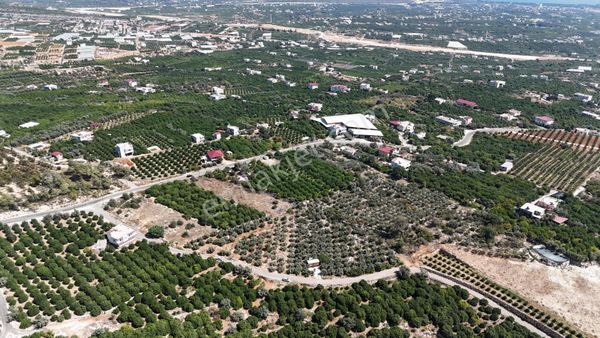 [ata]'dan Kösbucağı'nda 6.120m2 Satılık Zeytin Bahçesi.