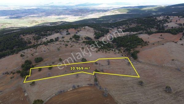 Ilgın Yukarıçiğilde 10.969 M2 Müstakil Tapulu Tarla