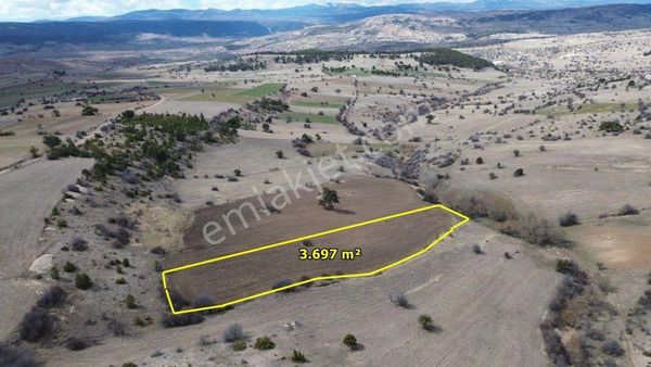 Ilgın Yukarıçiğilde 3.697 M2 Müstakil Tapulu Tarla