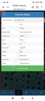 Aytekin Emlaktan Yavuz Selim Mahallesinde Uygun Fiyatla Zeytinlik ..