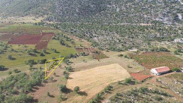 Hadim Aşağıeşenlerde 1.213 M2 Müstakil Tapulu Bahçe