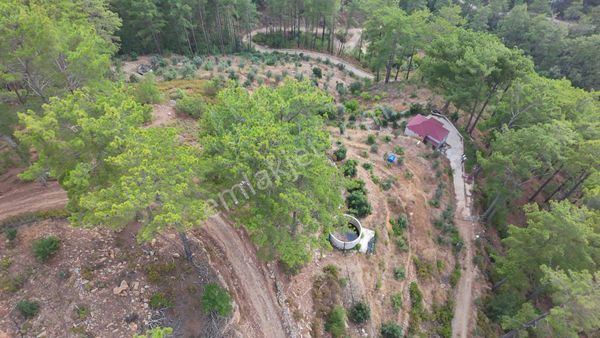 Gümüşkavak Satılık 2500 Metrekare İçerisinde Ev Var Elektrik Su Yol Var 1+10daire Takası Olur