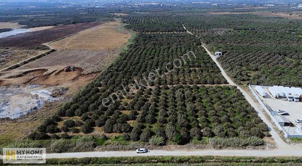 Myhome.'dan Toroslar Arpaçsakarlar.'da 17.862 M²tarla