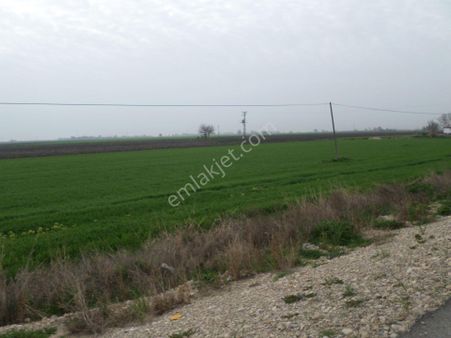 Dağcı'da 35 M Bulvar Üzeri Köşe Par. 1.20 Tek Tapu Satılık Arsa