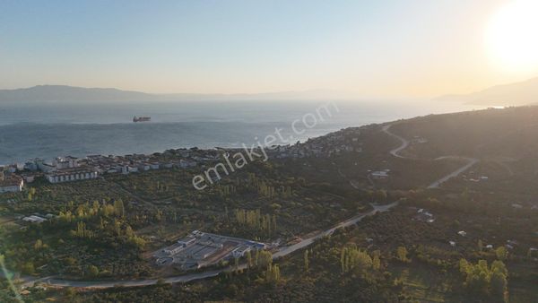 Kumla Konak Emlak”tan Satılık Körfez Manzaralı Zeytinlik