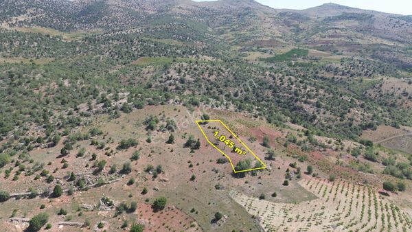 Hadim Aşağıeşenler De 1.045 M2 Müstakil Tapulu Bağ