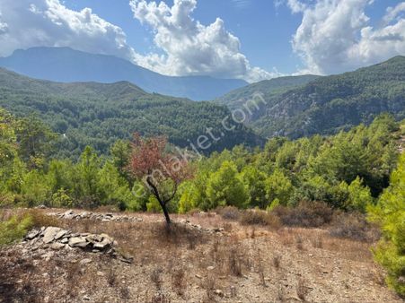Dim Öteköy Satılık Tarla