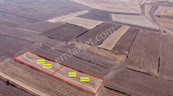 Mayadan Köyün En Uygunu Fırsat Tarla