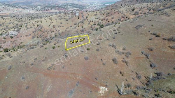 Güneysınır Gürağaç Da 1.805 M2 Müstakil Tapulu Bağ