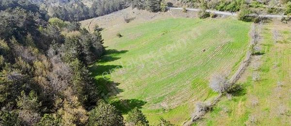 Hüseyinalana Yakın Uludağ'da Bahçe