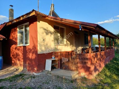 Kastamonu - Tosya Gökyer Mevkinde Satılık Bakımlı Bağ Aşağı Göky