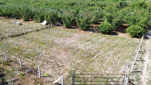 Karasu Kuyumculuda Satılık 425 M2 Köşe Parsel