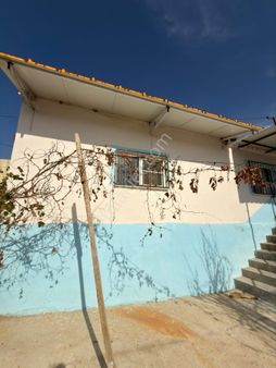 🏡 Aydın / Nazilli – Donduran Köyü Satılık Müstakil Ev & Hobi Bahçesi