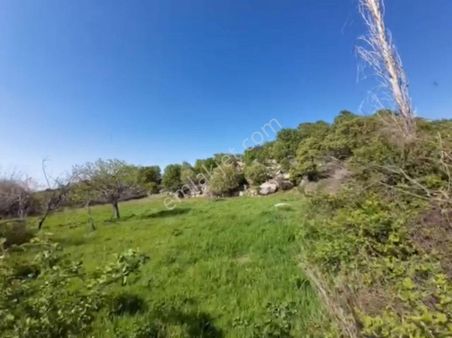 Köyün İçinde Firsat Yatırım! Çanakkale Ezine Kayacık Köyünde 611 M2 Satılık Bağ Yeri