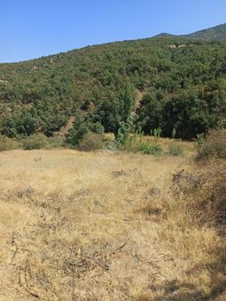 Manisa Kula'da Satılık Tarla