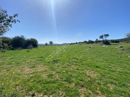 Çanakkale Ezine Belen Köyünde Muhteşem Lokasyonda 4.050 M2 Satılık Tarla