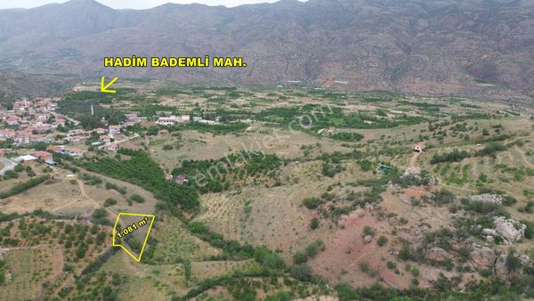 Hadim Bademli De 1.081 M2 Müstakil Tapulu Tarla