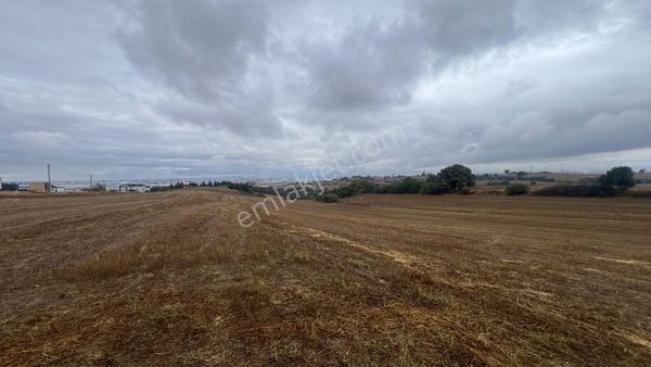 Çerkezköy Kızılpınar'da Satılık 8300m2 Yatırımlık Tek Tapu Tarla