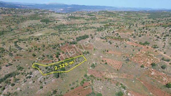 Hadim Aşağıeşenler De 2.329 M2 Müstakil Tapulu Bağ