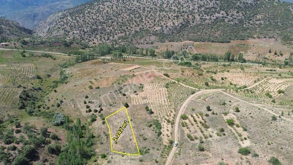 Hadim Aşağıeşenler De 2.242 M2 Müstakil Tapulu Bağ