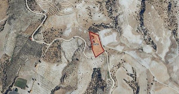 Köprübaşı Merkez De (namıkkemal) 7.720 M2 Satılık Zeytinlik