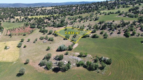 Konya / Akören / Alan Mahallesinde 2.832 M² Müstakil Tapulu Tarla