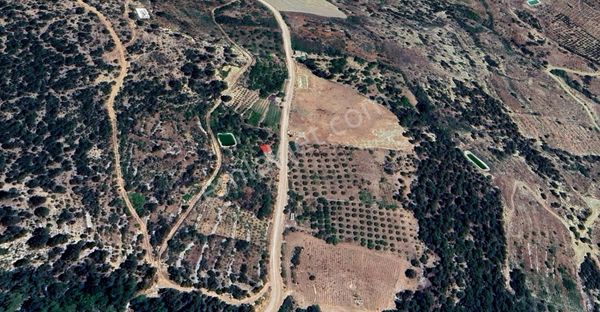 Mersin Mut Çömelek Köyünde Satılık İmarlı Ağaçlı Arsa