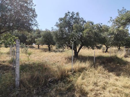 İnan Emlak Gayrimenkulden Avşar Mahallesi Satılık Arsa