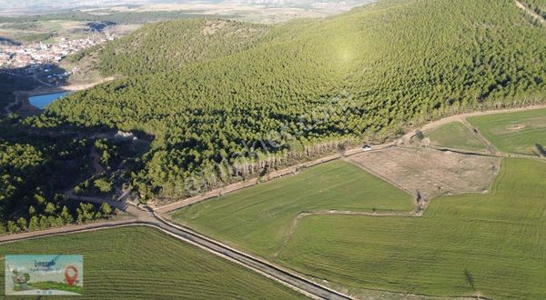 Konya / Doğanhisar / Kemer Mahallesinde 3.852 M² Müstakil Tapulu