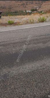 Yola Sıfır Zeytinlik