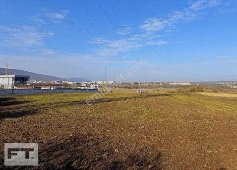 Büyükoyumca Da Satılık Manzaralı Arsa