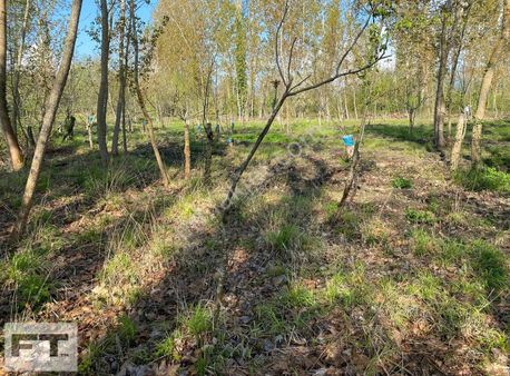 Çanakkale Örencik Köyü Bungalov Yapımına Uygun Satılık Tarla