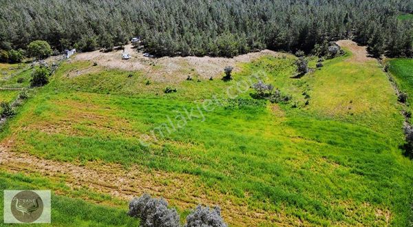 Muğla Milas Kısırlar 'da 9700 M2