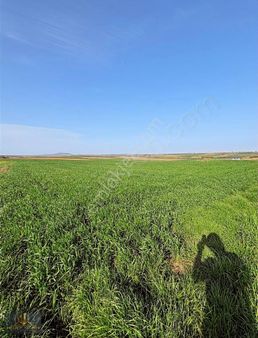 Köye Yakın Sulanır Tek Tapu Yatırımlık Arazi [ 2.000 M2 ]