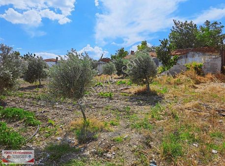 Saruhanlı Tirkeş Merkezinde 1810 M2içinde Evi Olan Satılık Tarla