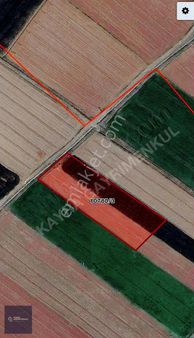 Hasanarpa Da Yola Sıfır 5020 M²tek Tapu Satılık Tarla