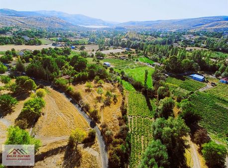 Ayaş Çanıllıda Köy İçi Tek Tapu 2.578 M2 Bağ Yeri