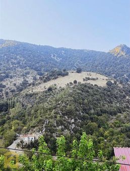 Koyuncuoğlu'ndan Düzağaç'da 12 Dönüm Acil Satılık Tarla