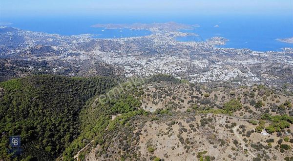 Yalıkavak Gökçebel De Full Deniz Manzaralı Kelepir Tarla